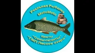 Квесты 