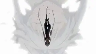 Assassin Classroom - 2 season [AMV]