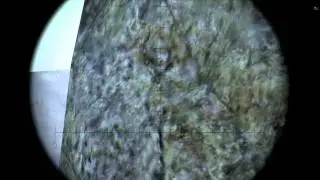 Arma 2 Серьезные Игры на Тушино: Первый удар