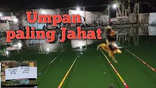 Acara LOMBA/GALATAMA IKAN LELE BERSAMA ARTIS JOMBANG,MASUK NOMINASI