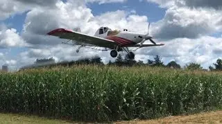 Corn School: Fungicide Application - Ground vs Aerial