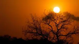 Vijay & Sofia, Notte - African Sunset
