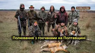 Полювання з гончаками на Полтавщині