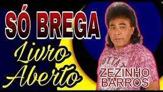 Zezinho barros e seus sucessos de brega | livro aberto só as melhores músicas de seresta antigas