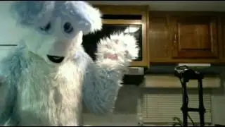 Fursuit Gaming: Eye of Judgement (experimental video)