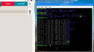 Linux commands on Raspberry Pi