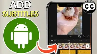 How To Add Subtitles Automatically To Videos On Mobile