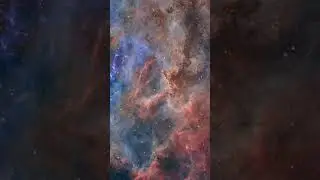 Dust Formations in the rosette nebula #astronomy #space  #astrophotography #shorts  #youtubeshorts