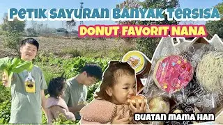 BERANGIN PETIK SAYUR DIKEBUN DAN SAMBUT MAKANAN KESUKAAN NANA