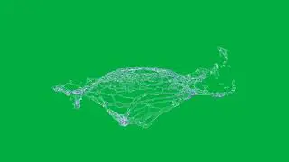 Green Screen - Chroma Key - Water Liquid 7