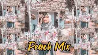 Cara Edit Foto ala Selebgram || Tutorial Lightroom Peach Mix || Free Preset Download
