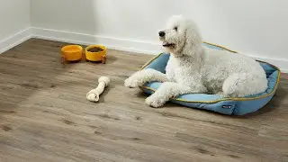 Luxury Vinyl Tile | The Tile Shop