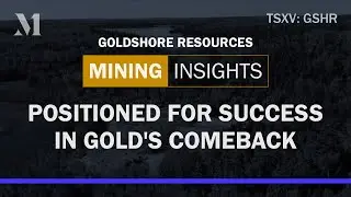 Gold’s resurgence shines light on Goldshore Resources’ promising outlook