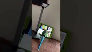 Попугай сам решает что смотреть