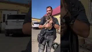Поездка в приют для животных. Байкеры Ставрополь