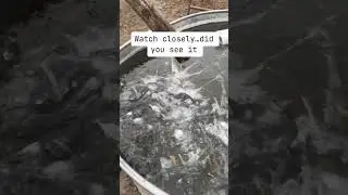 Breaking ice