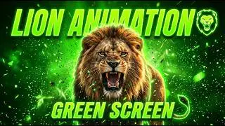 FREE Real Lion Animation Green Screen 🦁 | Cinematic Animal VFX