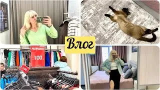 Влог: В Сибирь идёт Весна/ Вычёсываю котов/ Мой вес