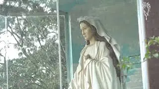 Mensagem de Nossa Senhora - 02/04/2021 - Vale da Imaculada Conceição