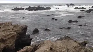 Seals