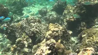 Gili Air - Indonesia