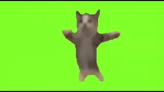 Шни шна Шнапи | Green Screen