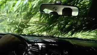 Jungle in Udjar