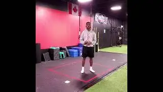 F.S Library  - Extensive pogo hops - lateral - Hand on hip