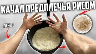 I pumped up my forearms with rice for 30 days in a row, and this is what happened!