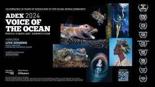 ADEX Ocean Festival 2024 - Voice of the Ocean LIVE Judging Competition!