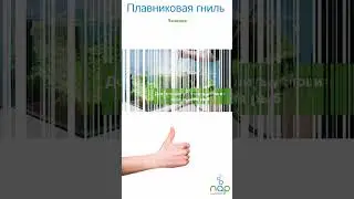 2 апреля 2024 г.