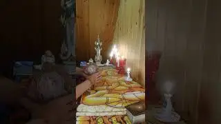 ВАШ МУЖЧИНА В ЯРОСТИ!!! ХОДИТ, КАК РАЗЬЯРЕННЫЙ ЛЕВ!!!! / PROTARO 1233