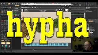 Hypha from  Native Instrument