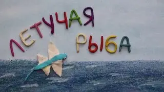 Летучая рыба. Пластилиновый познавательный мультфильм. Exocoetidae. Plasticine Animation.