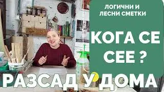 Кога се сеят семената за разсад? Срокове за домати, пипер и други култури