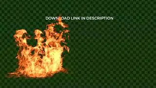 Fire Flame Burning on Ground  | Green Screen | Stock Footage