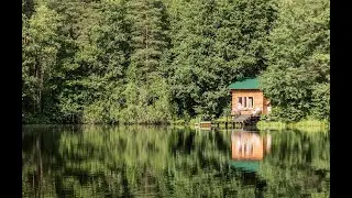 Озеро в лесу, звуки рыбалки, лягушки, кваканье, на все 360