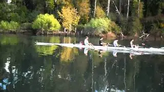 V411/29