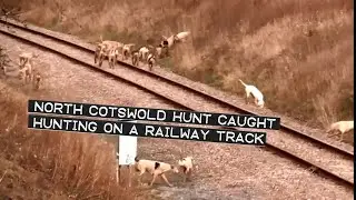 North Cotswold Hunt caught hunting on a railway track