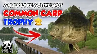 Common Carp Trophy Amber Lake On January 1st, 2023 - Russian Fishing 4 Indonesia