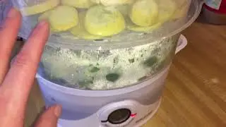 Gourmia GFS300 SteamTower300