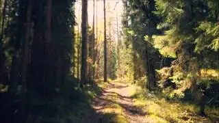 Ketonen - Afternoon Tune