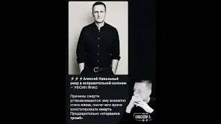 Навальный пог*б