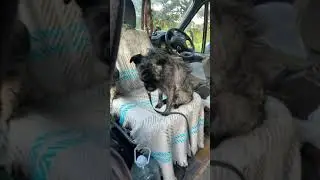 Just another day with me a buddy 