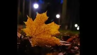 Танцует осень свой балет
