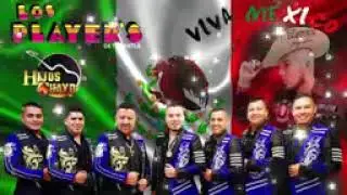 los player's de Tuzantla