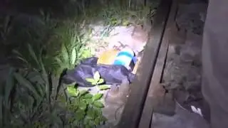СБУ задержала диверсанта, пытавшегося взорвать ЖД пути