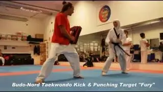 Budo-Nord Taekwondo Kick & Punching Target 