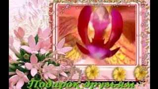 Музыкальная видеооткрытка: распускающиеся цветы любви