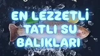 En Lezzetli Tatlı Su Balıklarını Yakalayıp Pişirdik | Sizce En Lezzetli Tatlı Su Balığı Hangisi?